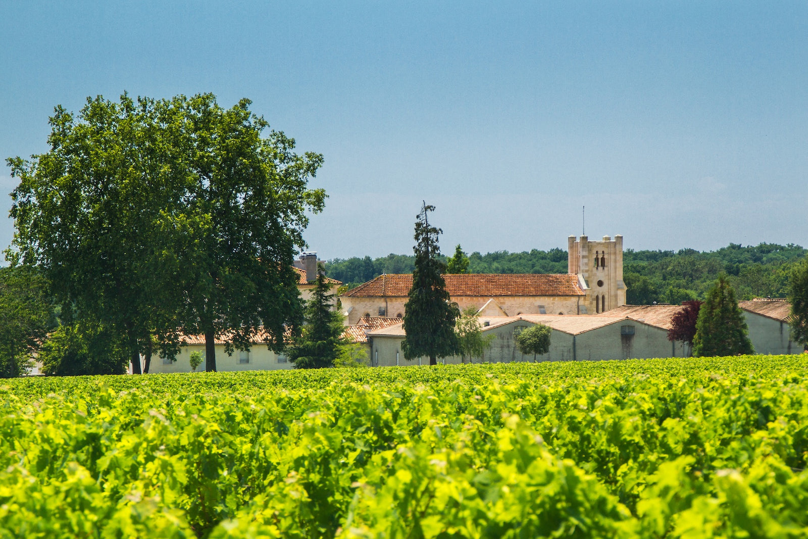 Château Potensac