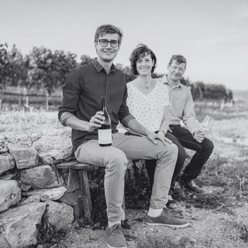 Weingut Rosner - Kamptal
