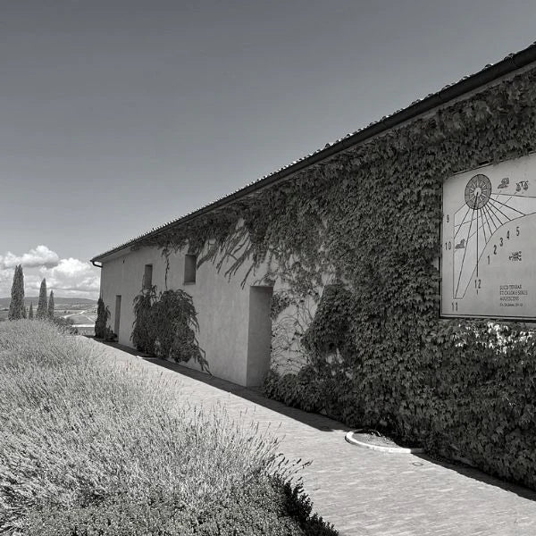 Siro Pacenti - Montalcino/Toskana