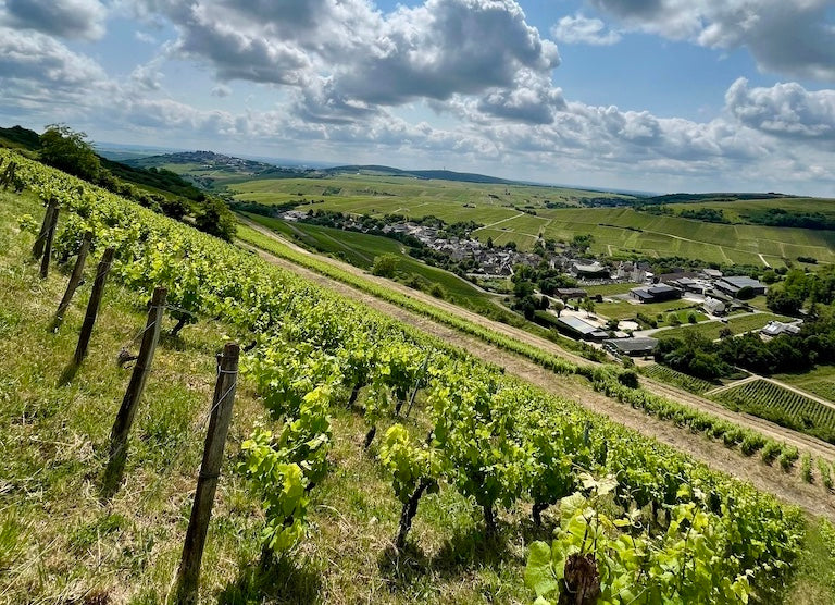 Sancerre