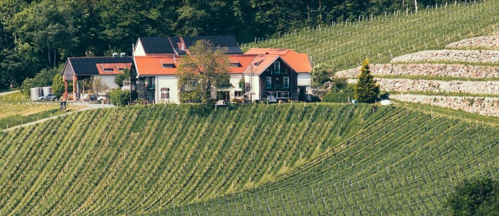 Weingut Gross