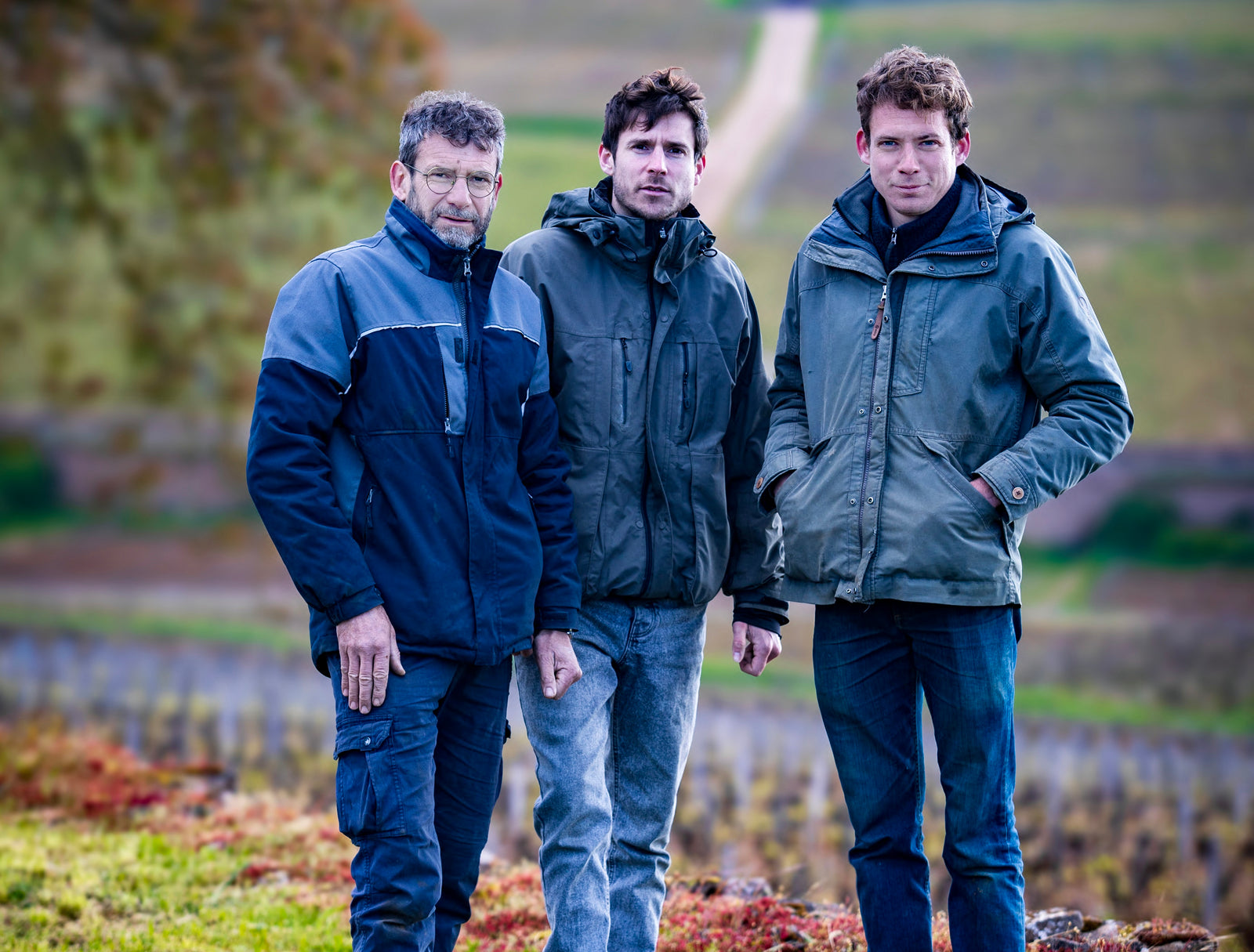 Domaine Rapet Père & Fils – Pernand-Vergelesses/Burgund