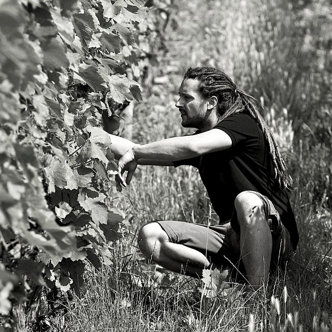 Weingut Dautel – Württemberg