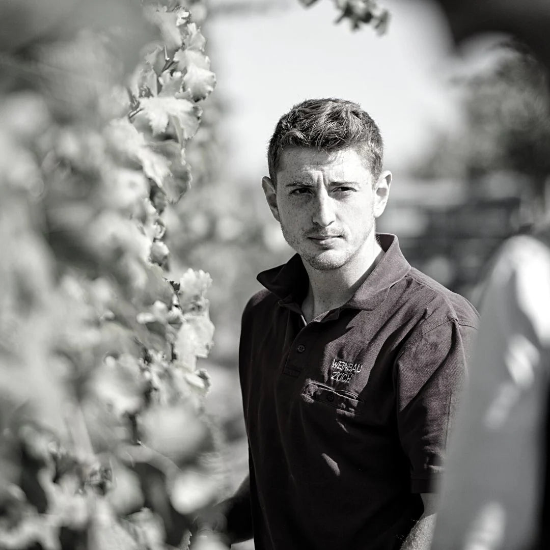 Weingut Zöch - Weinviertel