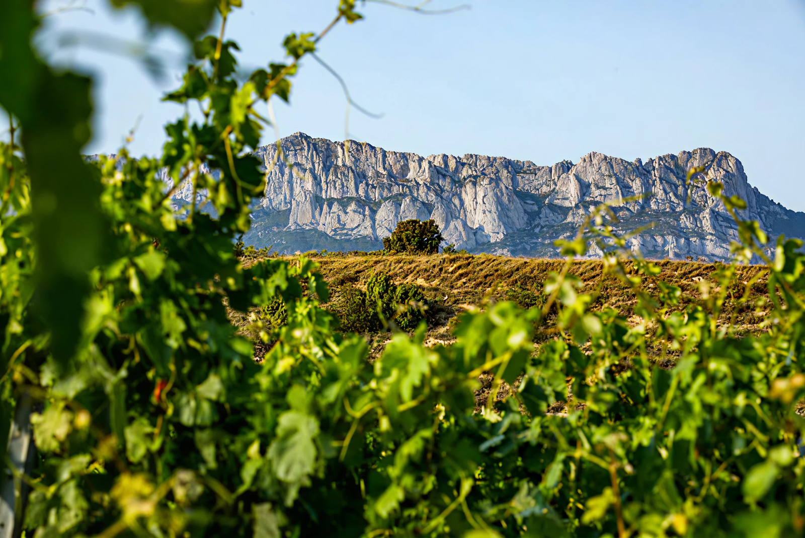 Rioja