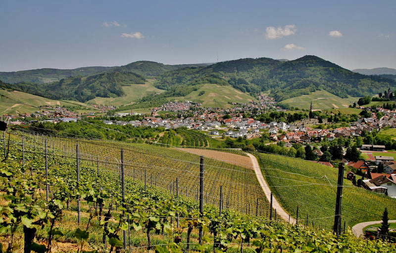 Rhône