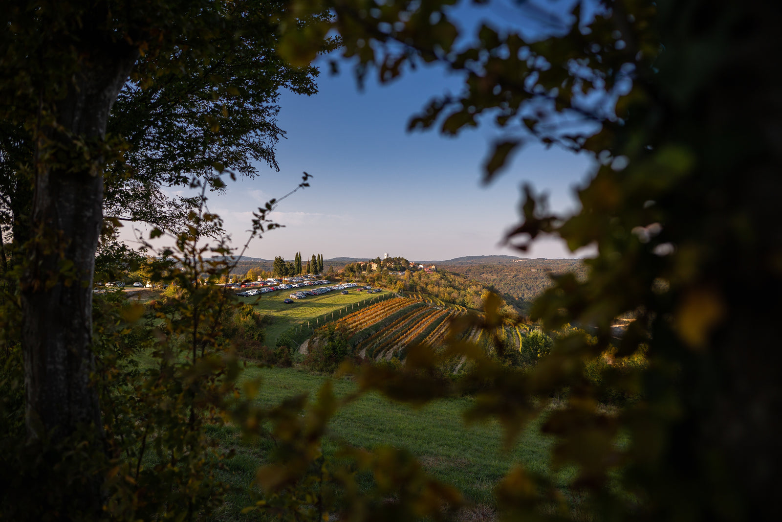 Côtes de Provence