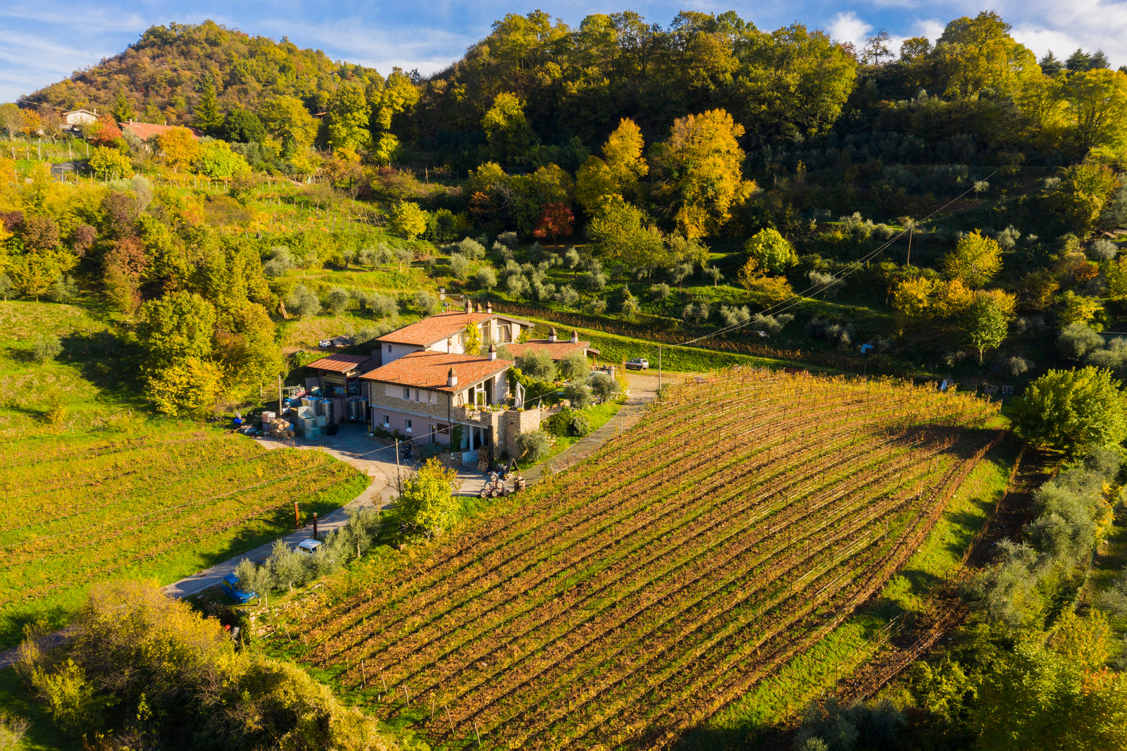 Colline della Stella / Andrea Arici