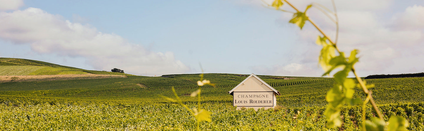 Louis Roederer