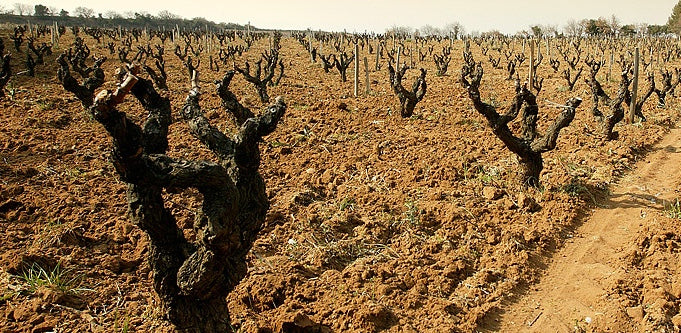 Domaine des Tours