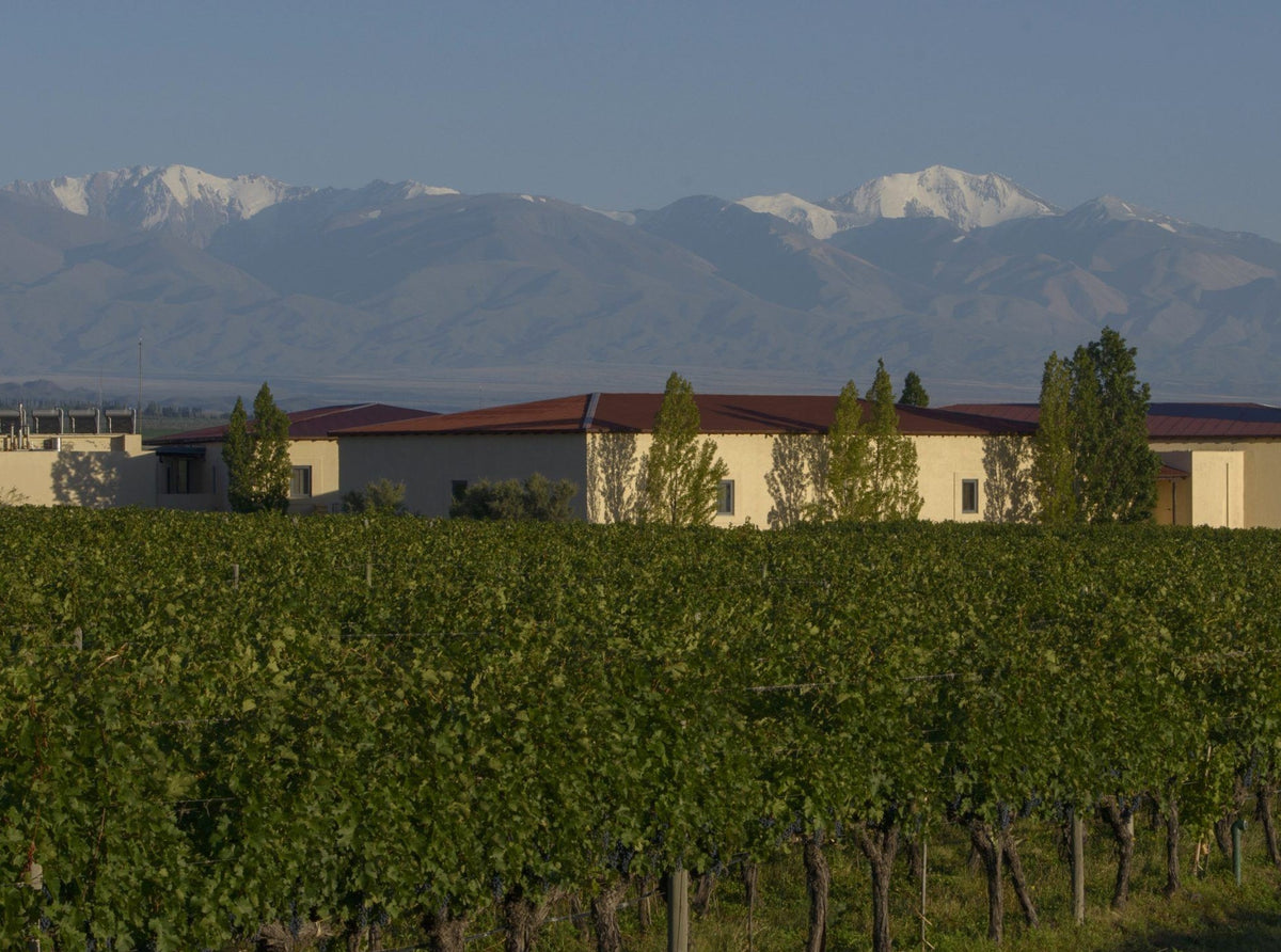 Château Léoville-Poyferré