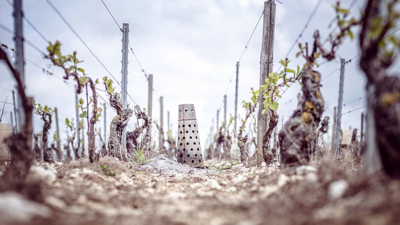 Lamblin & Fils – Chablis/Burgund