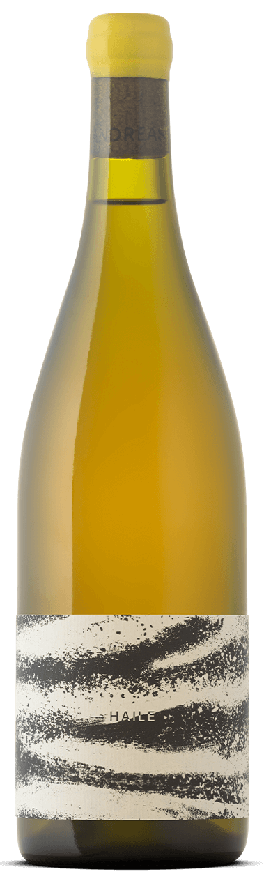 Weingut Ziniel - Chardonnay "Haile" 2024